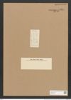 Hantzschia amphioxys Grunow (de-Toni-Nr.: Genus 50, Species 2204 ? ?) Zeichnungen Sammlung Grunow Nr. 4454 (NHMW-BOT-W0372627)